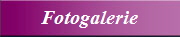 Fotogalerie