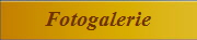Fotogalerie